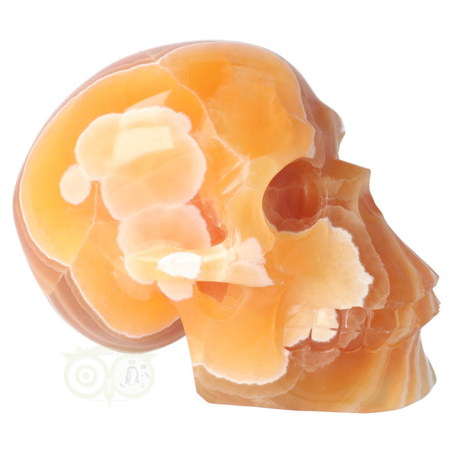 Oranje Calciet schedel 2769 gram-3