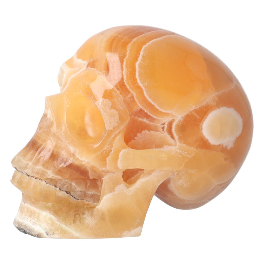 Oranje Calciet schedel 1043 gram-5