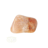 Fossiel Koraal trommelsteen Nr 14  - 18 gram