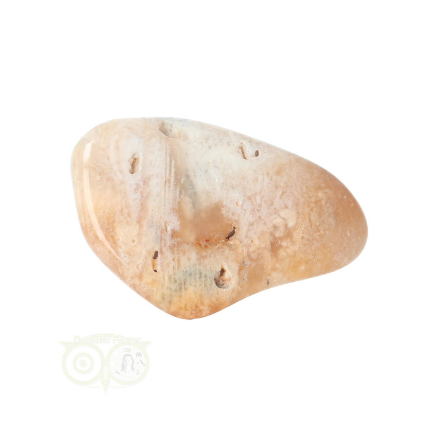 Fossiel Koraal trommelsteen Nr 14  - 18 gram-6