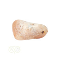 thumb-Fossiel Koraal trommelsteen Nr 14  - 18 gram-9