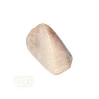 thumb-Fossiel Koraal trommelsteen Nr 15  - 21 gram-2