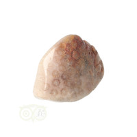 thumb-Fossiel Koraal trommelsteen Nr 15  - 21 gram-3