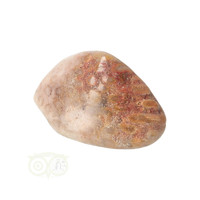 thumb-Fossiel Koraal trommelsteen Nr 15  - 21 gram-4