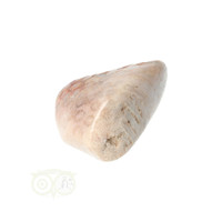 thumb-Fossiel Koraal trommelsteen Nr 15  - 21 gram-8