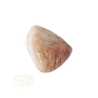 thumb-Fossiel Koraal trommelsteen Nr 15  - 21 gram-10