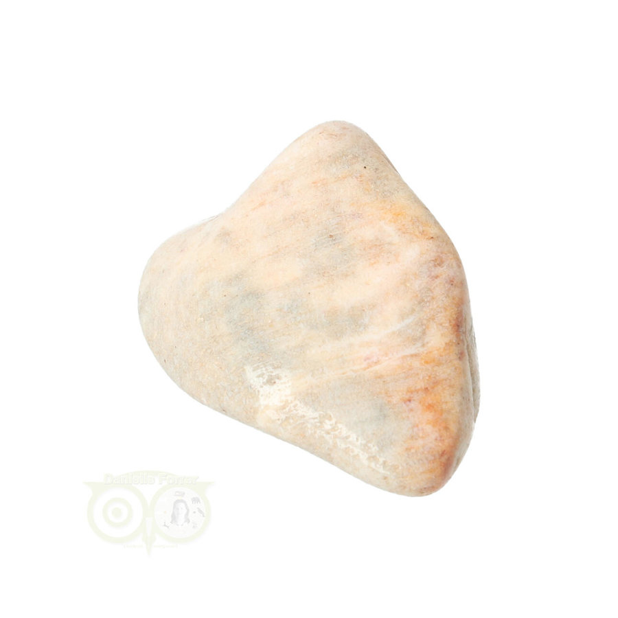 Fossiel Koraal trommelsteen Nr 18  -25 gram-4