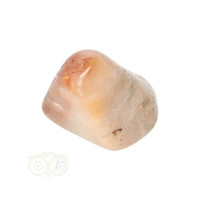 thumb-Fossiel Koraal trommelsteen Nr 19  -26 gram-3