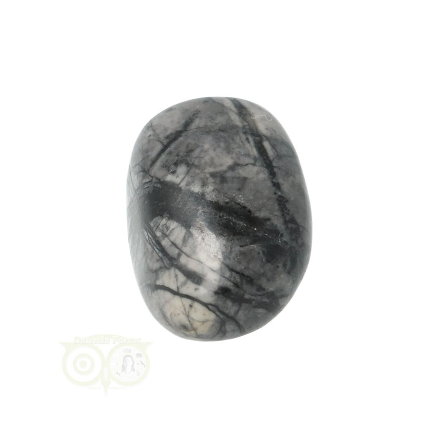 Picasso Jaspis trommelsteen Nr 14 - 17 gram-7