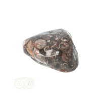 thumb-Turitella Agaat trommelsteen Nr 29 - 27 gram-6