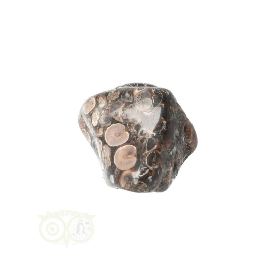 Turitella Agaat trommelsteen Nr 30 - 31 gram-7