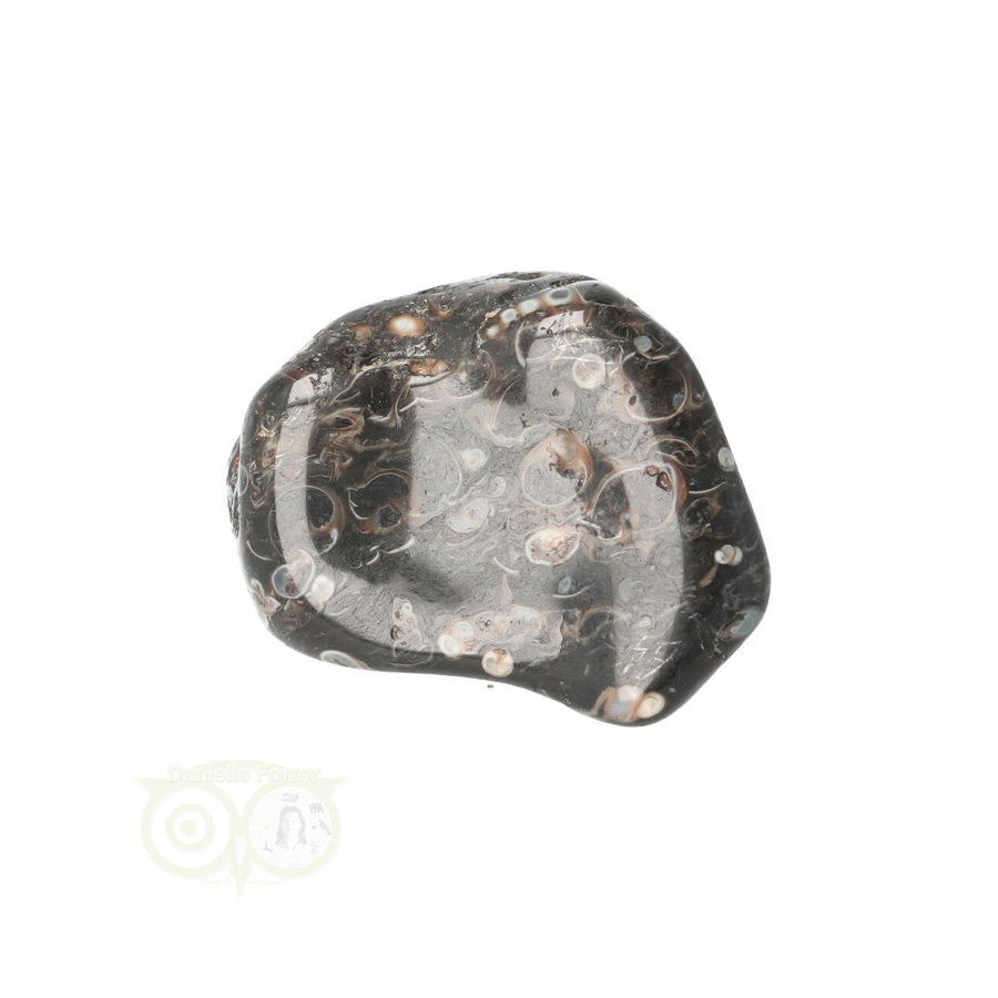 Turitella Agaat trommelsteen Nr 31 - 23 gram-1