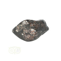 thumb-Turitella Agaat trommelsteen Nr 31 - 23 gram-3