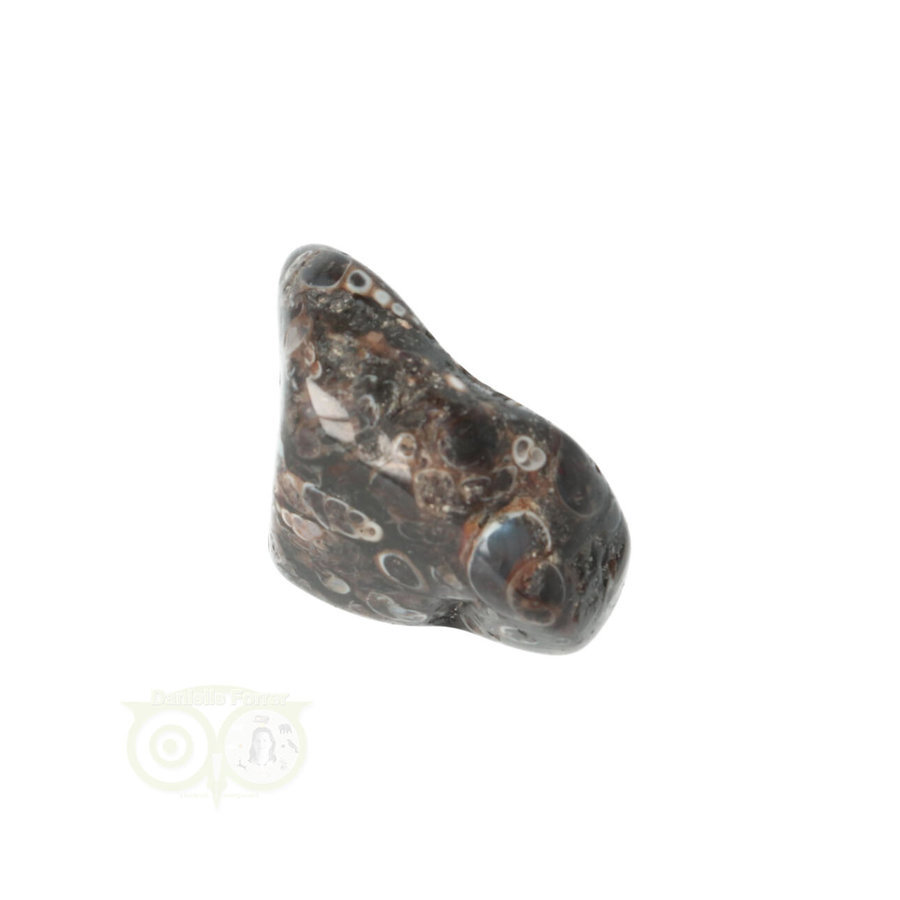 Turitella Agaat trommelsteen Nr 31 - 23 gram-4
