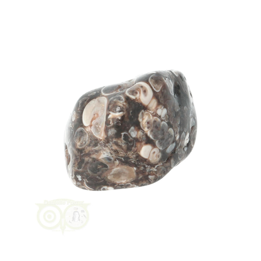 Turitella Agaat trommelsteen Nr 33 - 17 gram-3