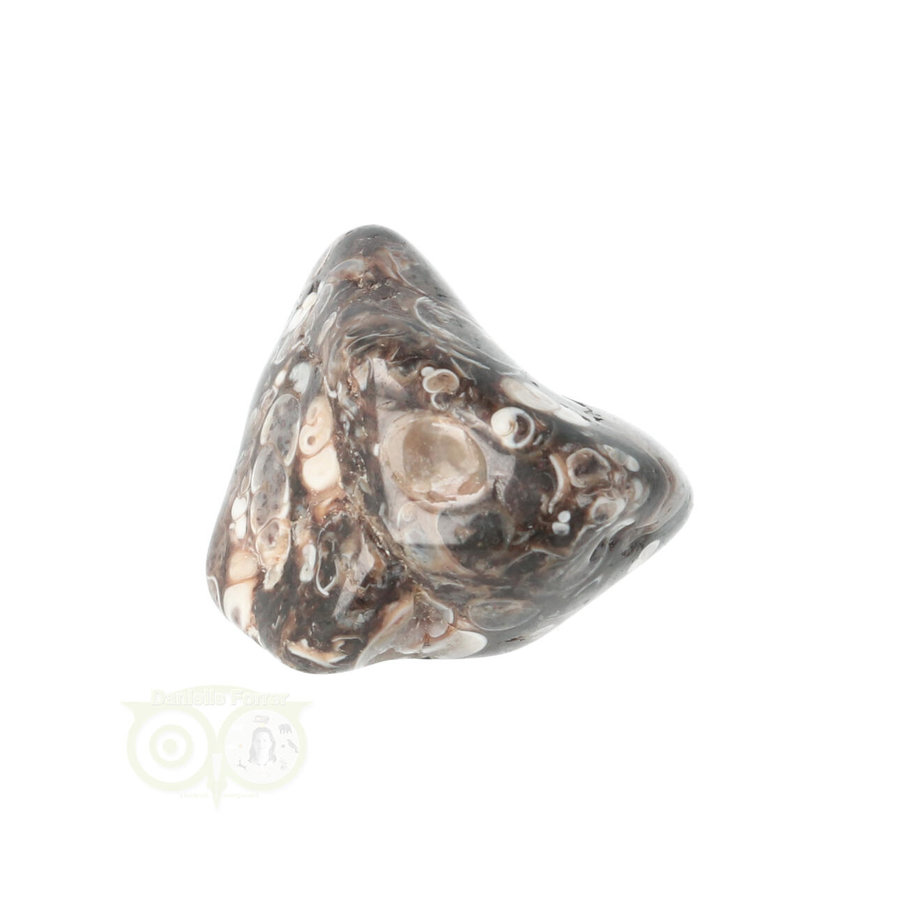 Turitella Agaat trommelsteen Nr 33 - 17 gram-10