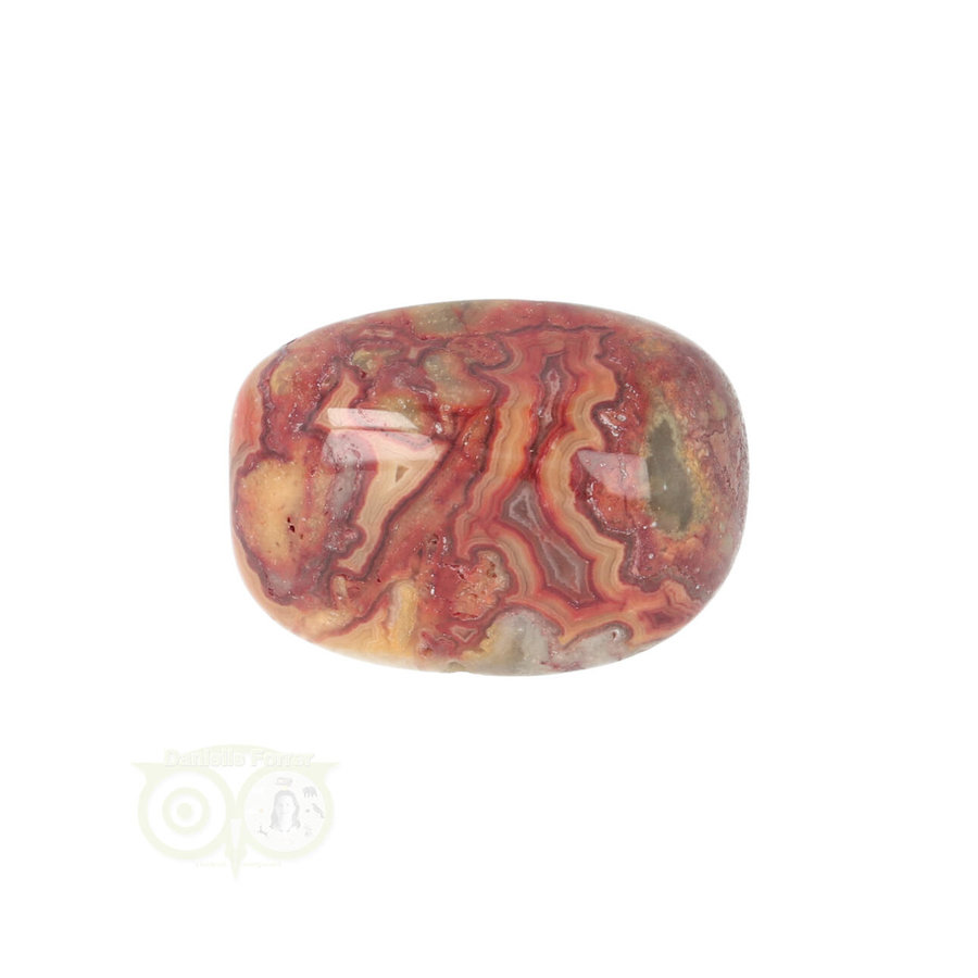 Crazy Lace Agaat trommelsteen Nr 28 - 16 gram-1