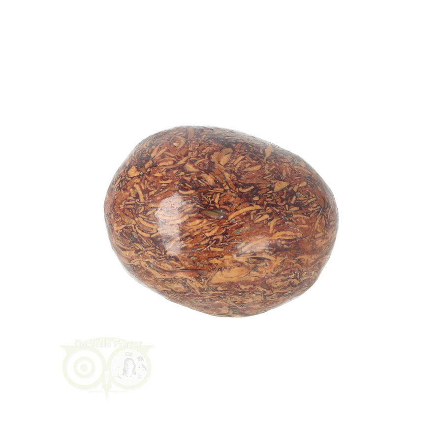Coquina Jaspis trommelsteen Nr 11 - 22 gram-5