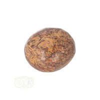 thumb-Coquina Jaspis trommelsteen Nr 11 - 22 gram-6