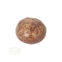 thumb-Coquina Jaspis trommelsteen Nr 11 - 22 gram-8