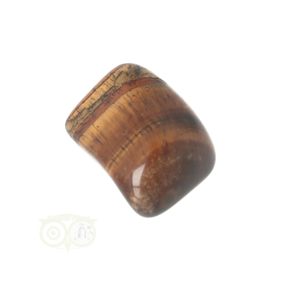 Tijgeroog trommelsteen Nr 36  - 26 gram -Zuid Afrika-4