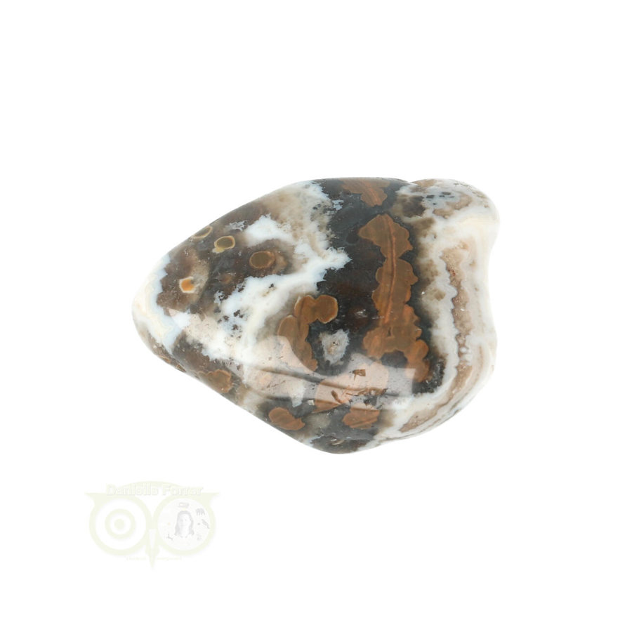 Oceaan Jaspis trommelsteen Nr 34 - 17 gram-1