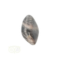 thumb-Zwarte Maansteen trommelsteen Nr 24 - 17 gram-10