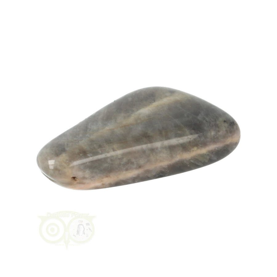 Zwarte Maansteen trommelsteen Nr 30 - 13 gram-1
