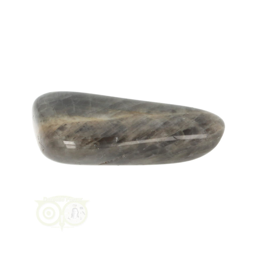 Zwarte Maansteen trommelsteen Nr 30 - 13 gram-4