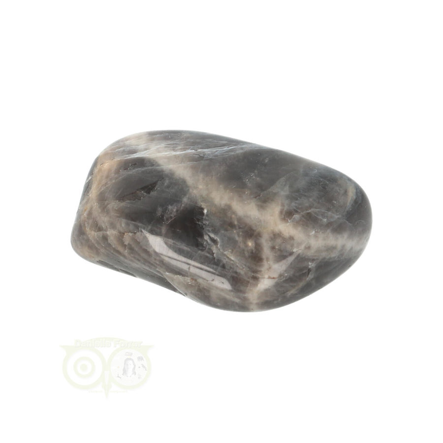 Zwarte Maansteen trommelsteen Nr 31 - 14 gram-1