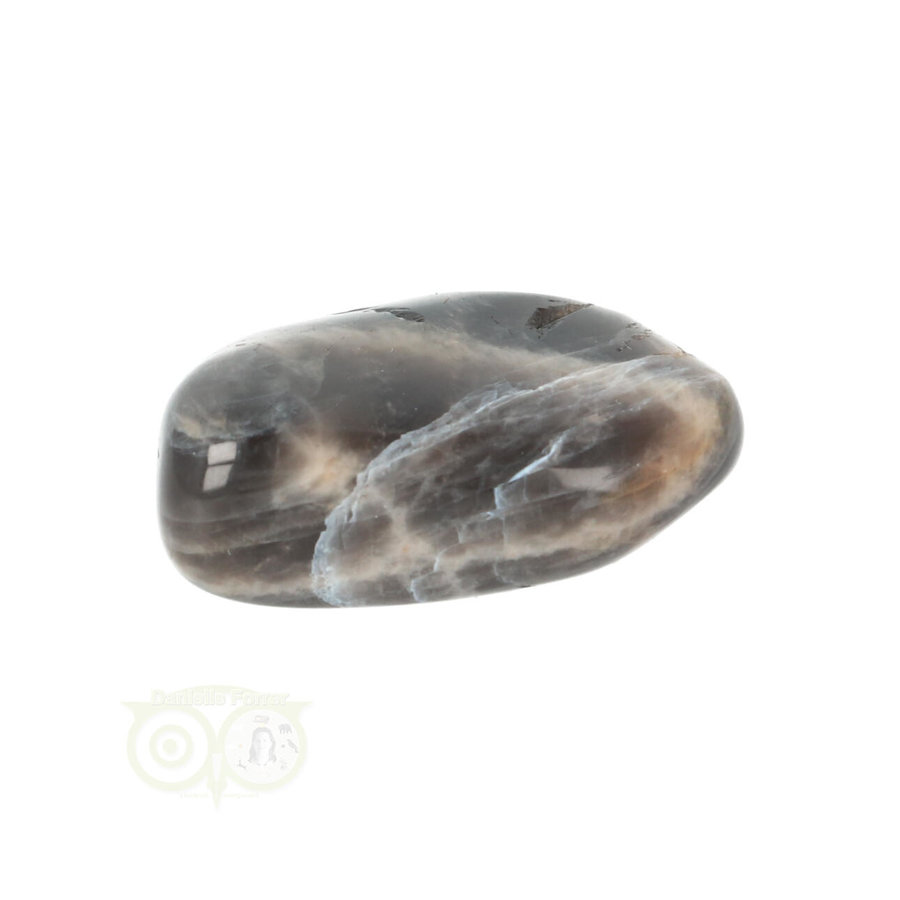 Zwarte Maansteen trommelsteen Nr 31 - 14 gram-3