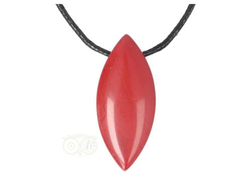 Rode Jaspis ovaal hanger Nr 16 