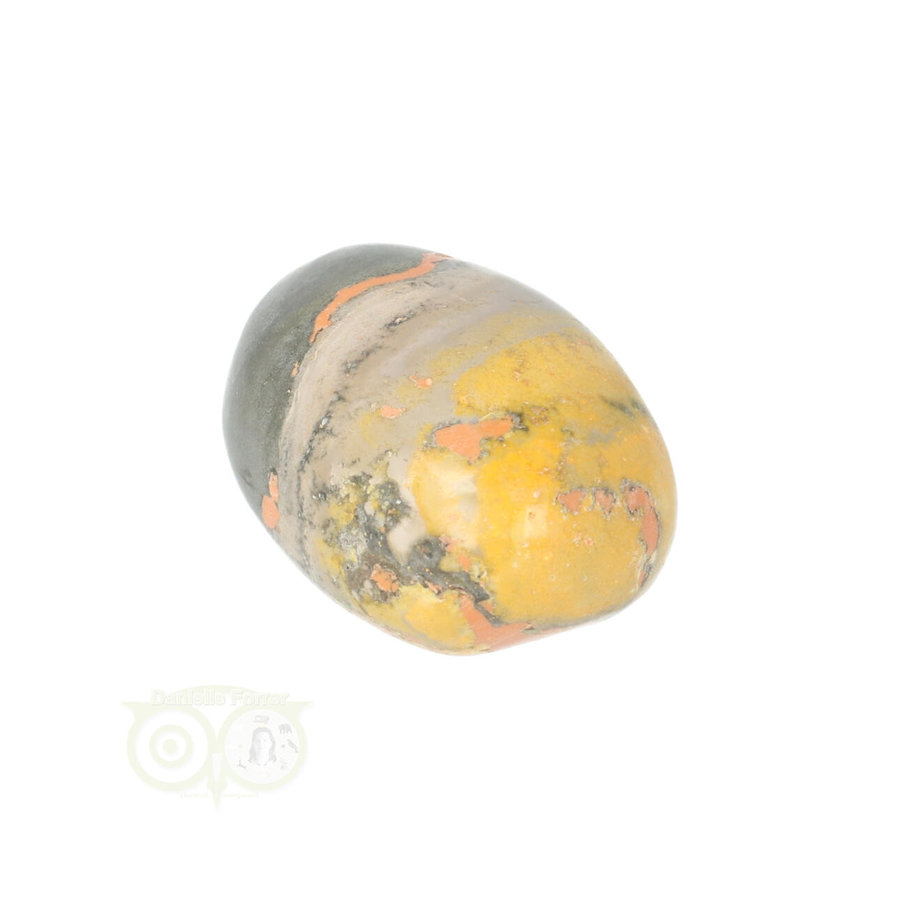 Bumble Bee Jaspis trommelsteen Nr 8 - 16 gram-9