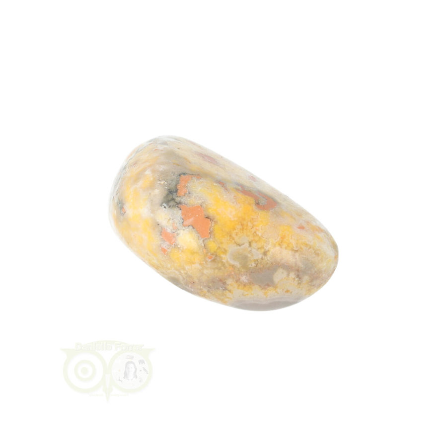 Bumble Bee Jaspis trommelsteen Nr 9 - 17 gram-4