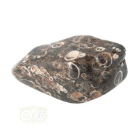 thumb-Turitella Agaat trommelsteen Nr 35 - 30 gram-3