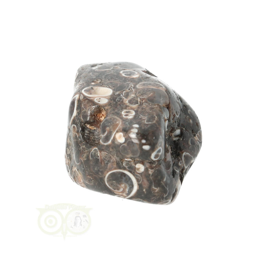 Turitella Agaat trommelsteen Nr 35 - 30 gram-4