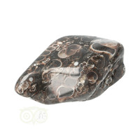 thumb-Turitella Agaat trommelsteen Nr 35 - 30 gram-6