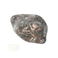 thumb-Turitella Agaat trommelsteen Nr 35 - 30 gram-7
