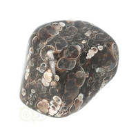 thumb-Turitella Agaat trommelsteen Nr 37 - 29 gram-2