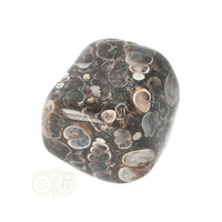 thumb-Turitella Agaat trommelsteen Nr 37 - 29 gram-4