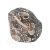 thumb-Turitella Agaat trommelsteen Nr 37 - 29 gram-8