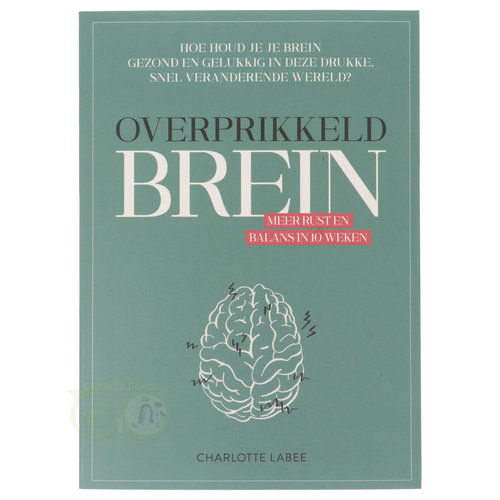 Overprikkeld brein - Charlotte Labee 
