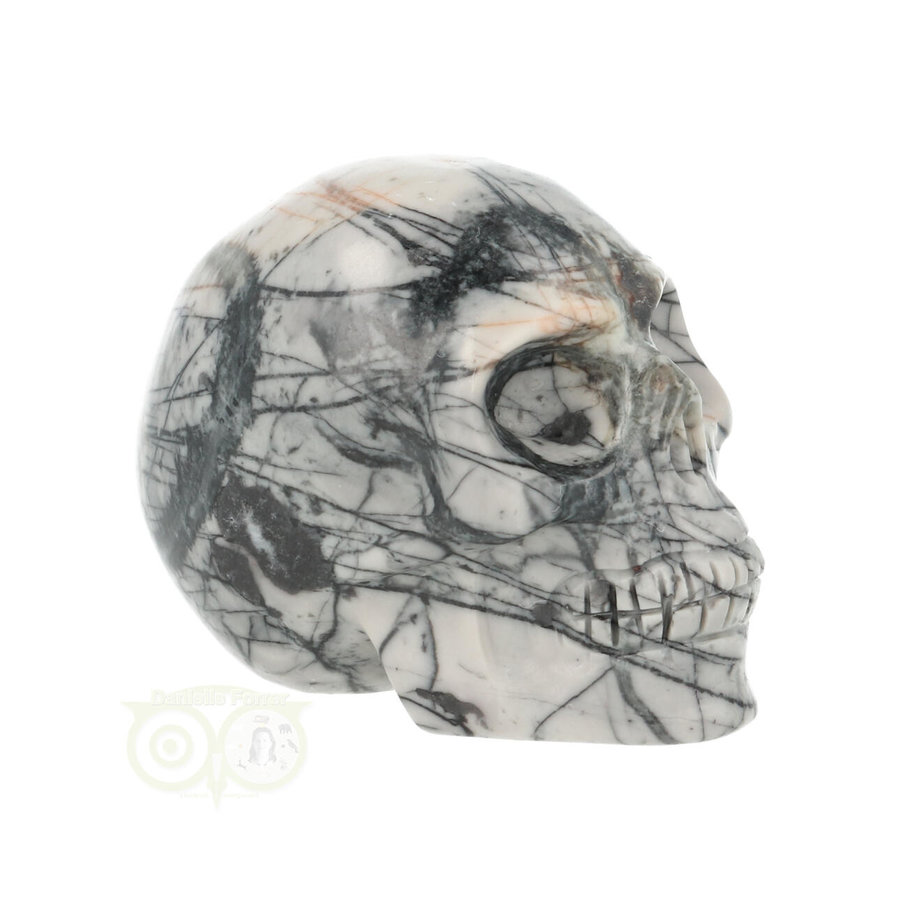 Picasso Jaspis schedel Nr 18 - 103 gram-10