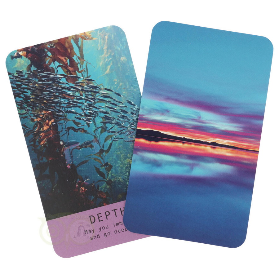 Sea Soul Journeys Oracle Cards - Pippa Best-7