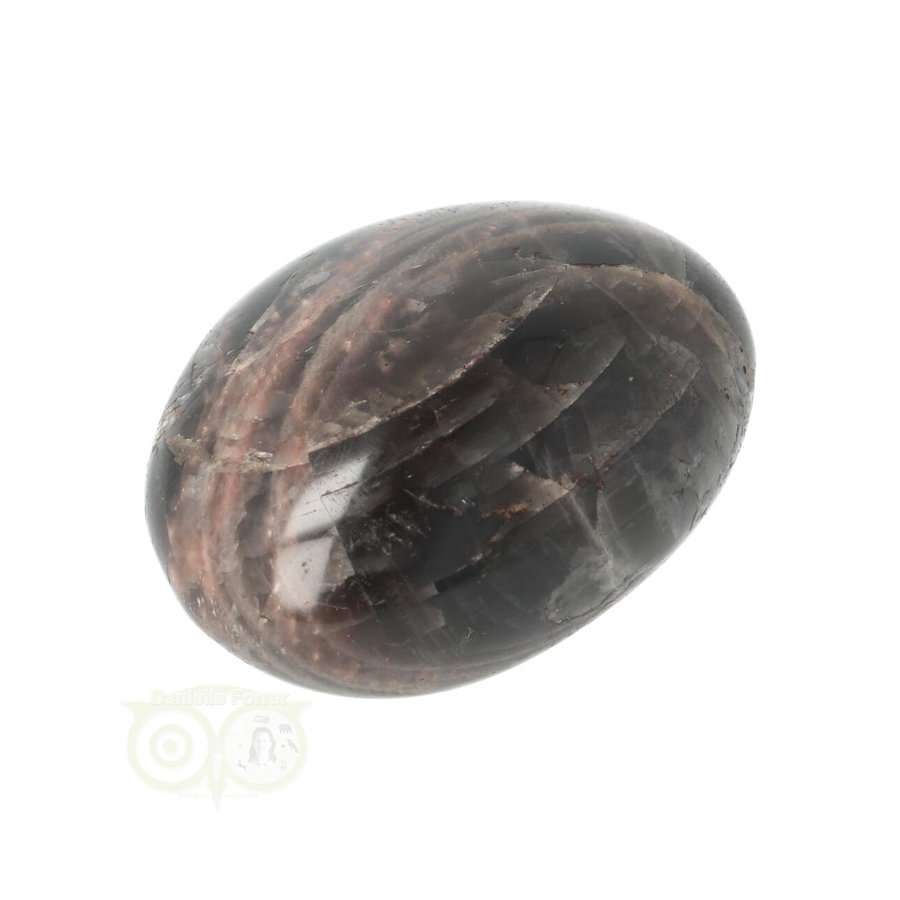 Zwarte Maansteen handsteen  Nr 71 - 62 gram - Madagaskar-5