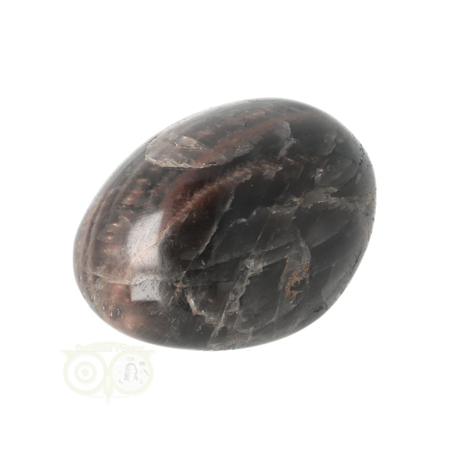 Zwarte Maansteen handsteen  Nr 71 - 62 gram - Madagaskar-8
