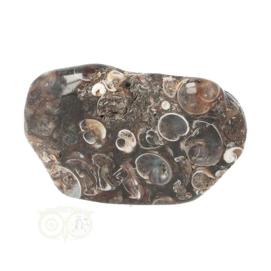 Turitella Agaat trommelsteen Nr 39 - 21 gram-4