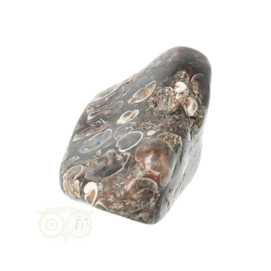 Turitella Agaat trommelsteen Nr 39 - 21 gram-7