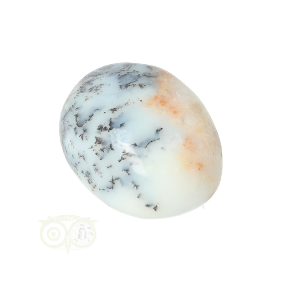 Dendriet Opaal - Agaat handsteen - Small Nr 29 - 21 gram-2