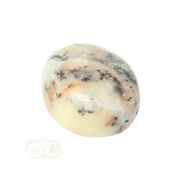 thumb-Dendriet Opaal - Agaat handsteen - Small Nr 30 - 25 gram-4